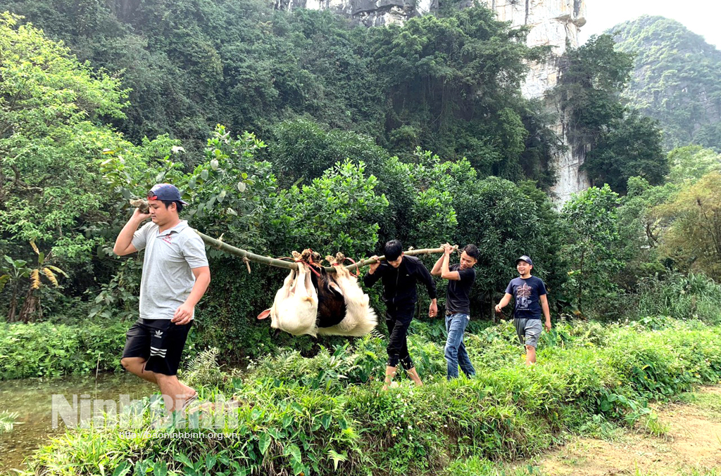 Dê núi Ninh Bình món ăn đặc sản