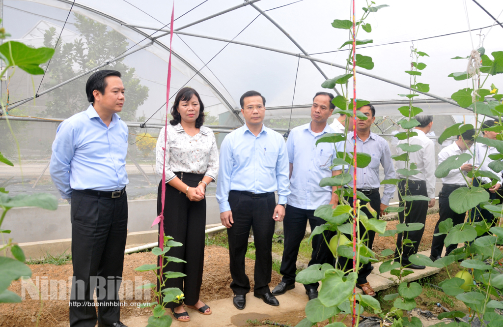 Các đồng chí lãnh đạo UBND tỉnh kiểm tra tình hình sản xuất tại một số địa phương