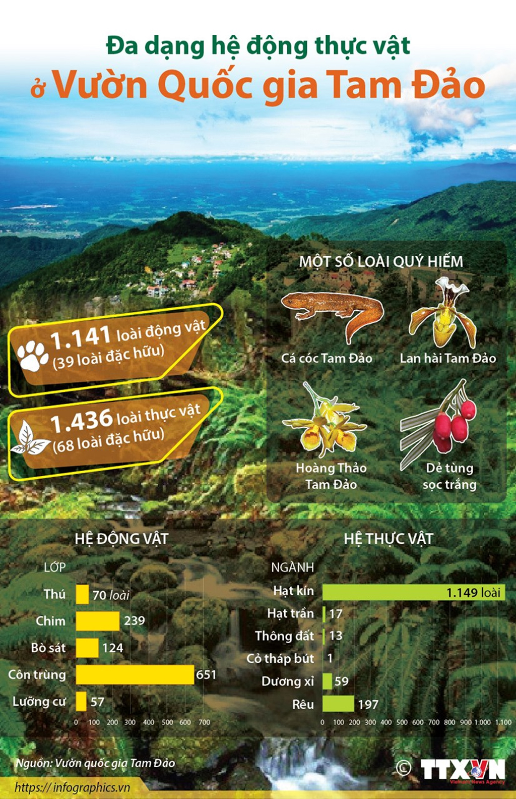 Infographics Đa dạng hệ động thực vật ở Vườn Quốc gia Tam Đảo