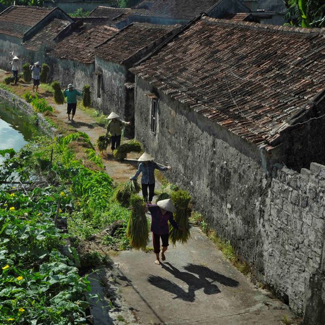 Có một làng cổ Đường Lâm… ở Ninh Bình