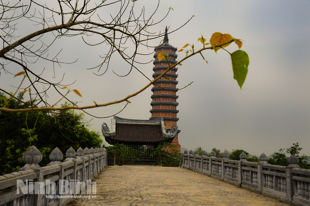 Sắc lá mùa thu