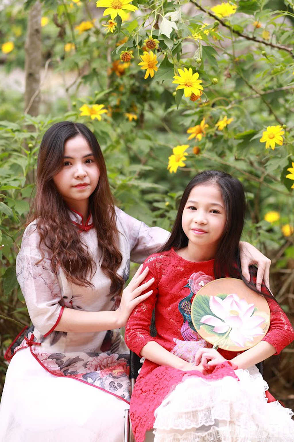 Mùa hoa dã quỳ ở Ninh Bình