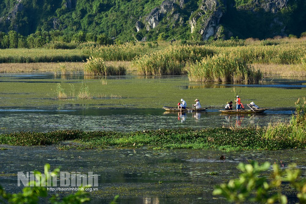 Sắc xuân Ninh Bình