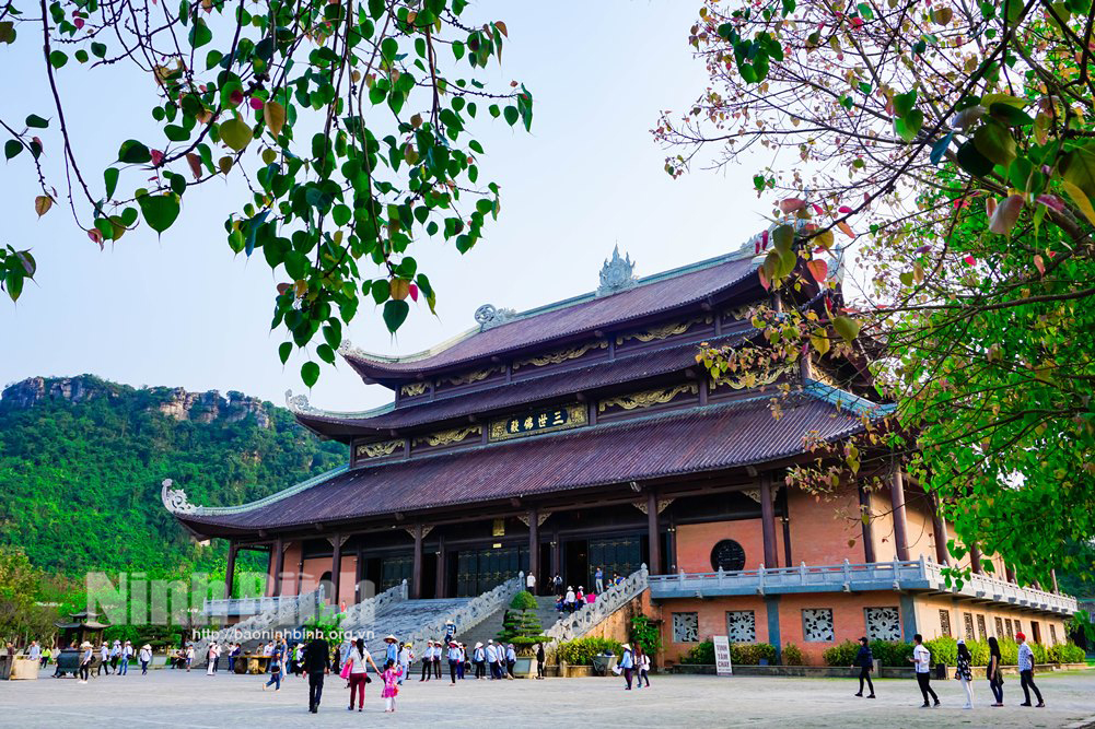 Sắc xuân Ninh Bình