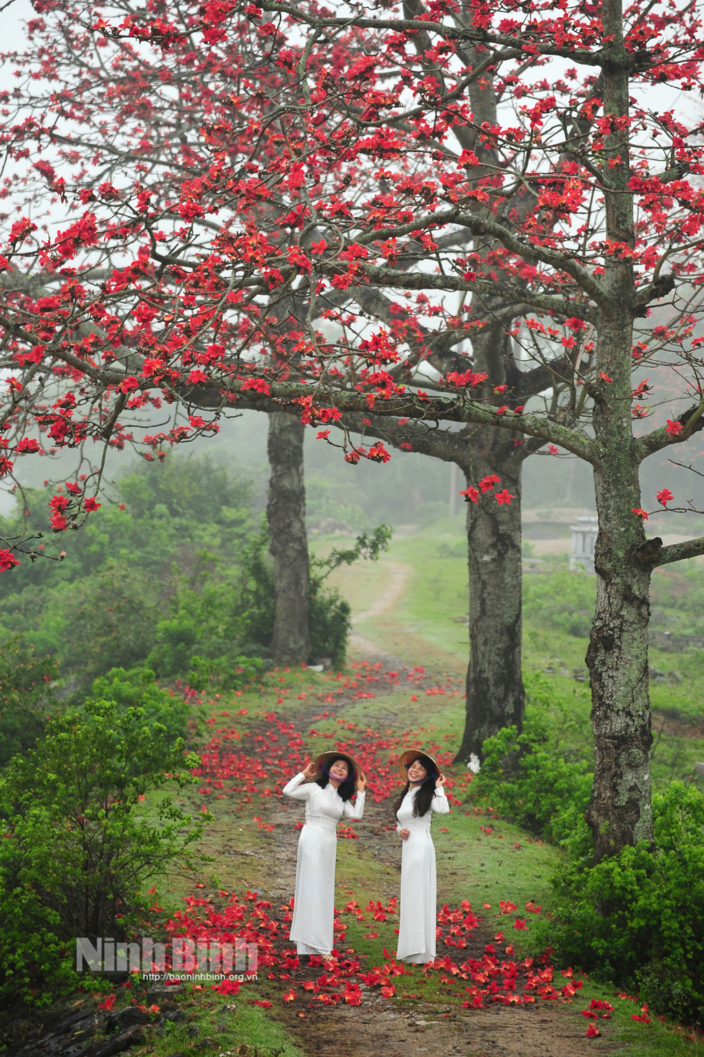 Về miền thương nhớ