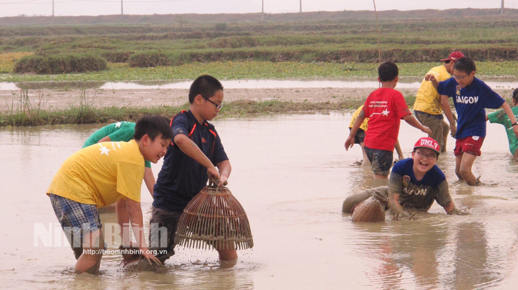 Du lịch đồng quê