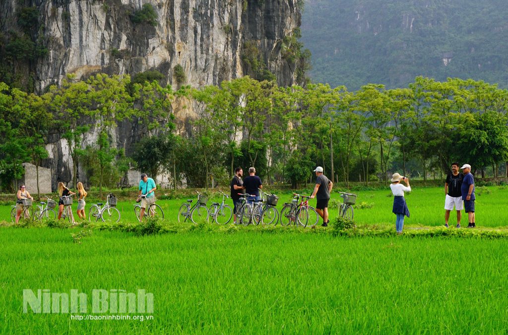 Du lịch đồng quê