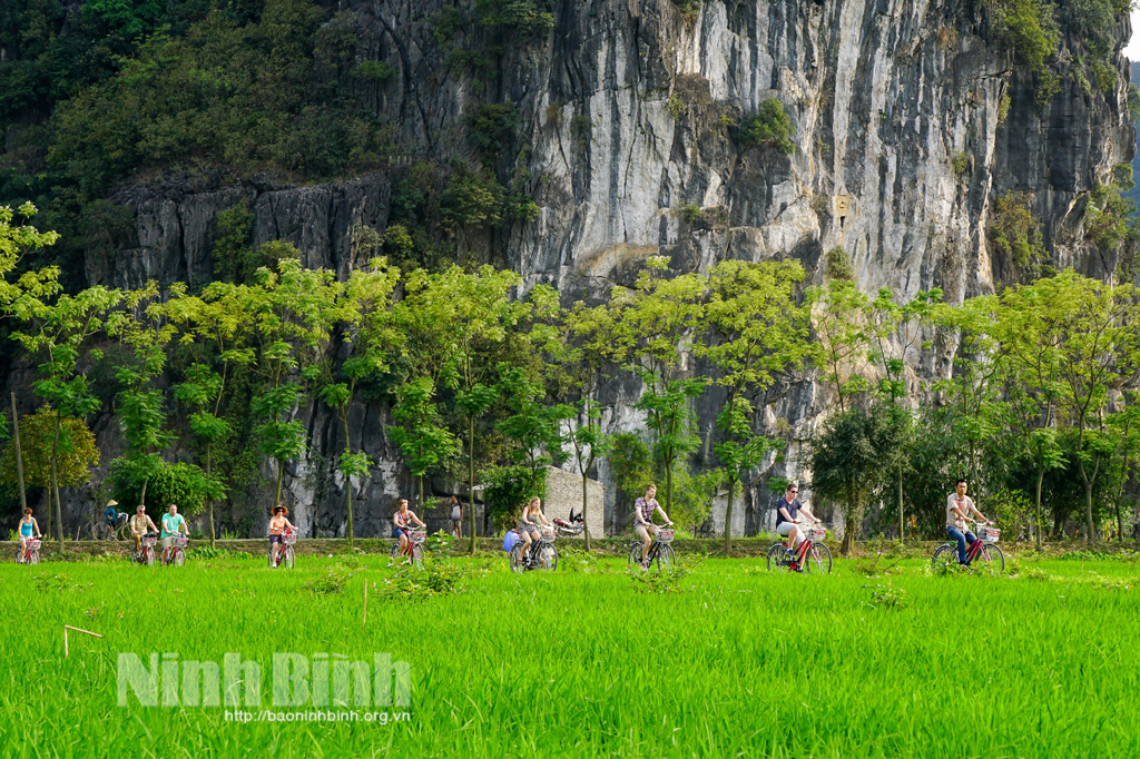 Du lịch đồng quê