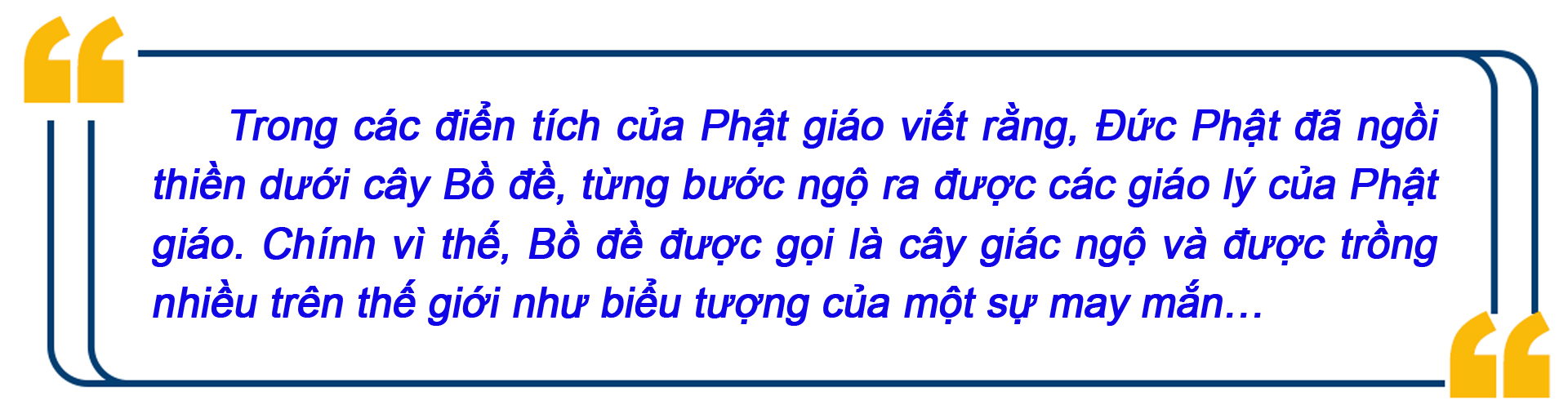 eMagazine Chuyện về những chiếc lá Bồ đề trên đất Cố đô