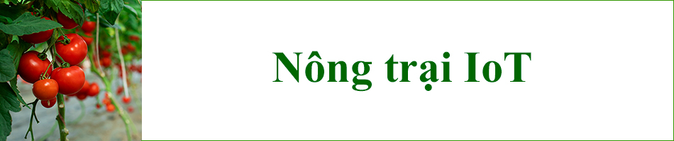Thời của nông nghiệp 40