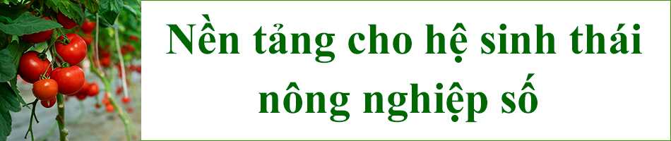 Thời của nông nghiệp 40