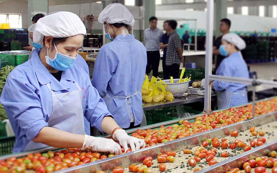 Thời của nông nghiệp 40