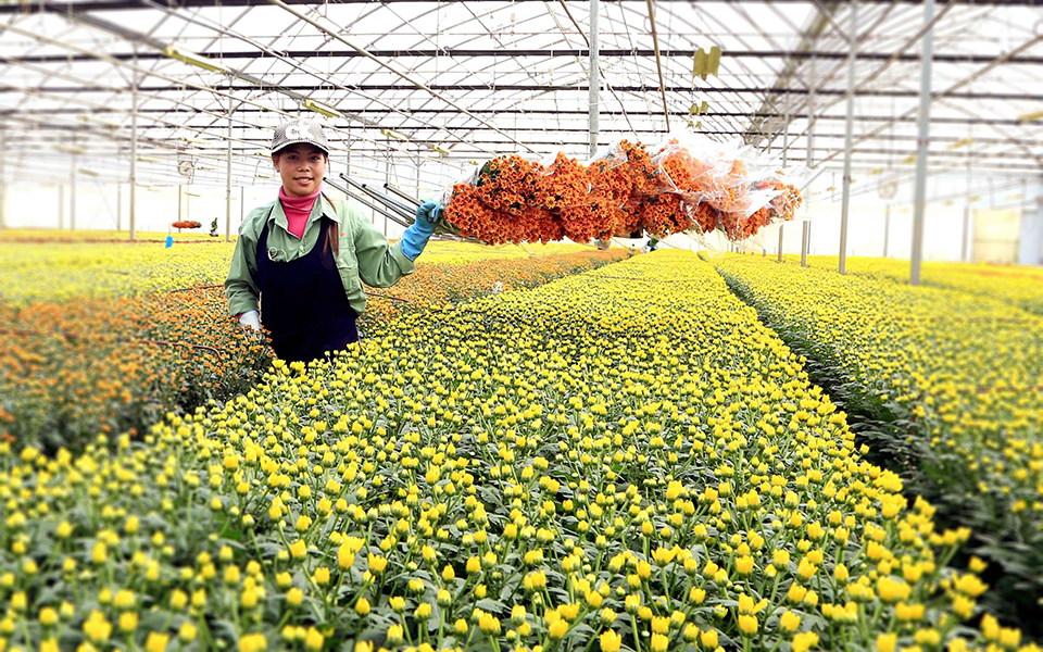 Thời của nông nghiệp 40