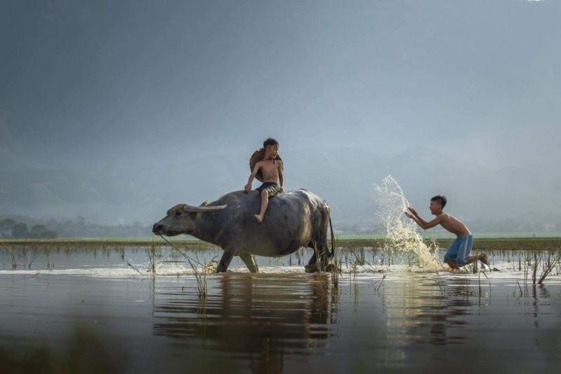 Hồn quê thân thương sâu lắng qua ống kính nghệ sĩ nhiếp ảnh Vũ Anh Dũng