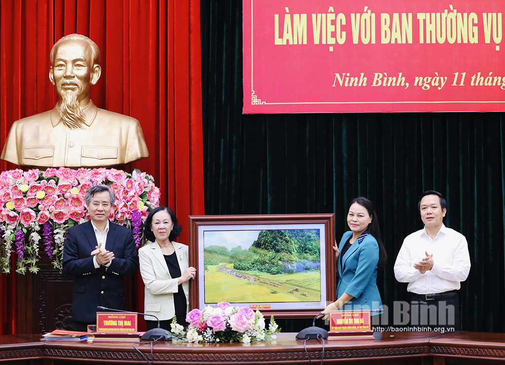 Đoàn công tác của Ban Tổ chức Trung ương làm việc với Ban Thường vụ Tỉnh ủy