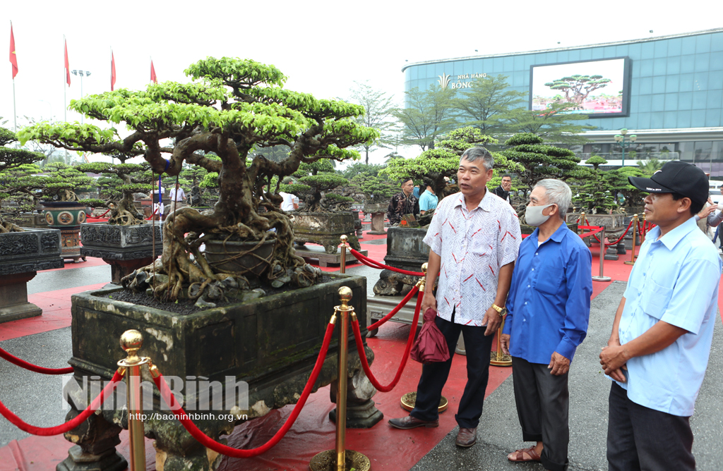 Khai mạc Hội chợ triển lãm sinh vật cảnh liên câu lạc bộ tỉnh Ninh Bình 2022
