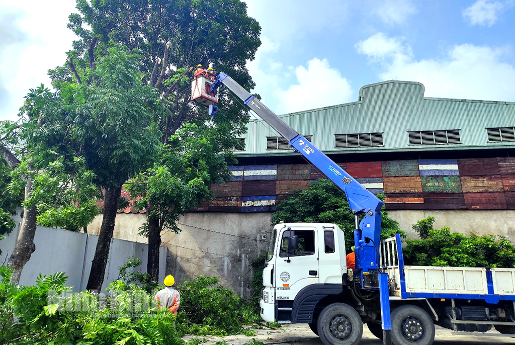 Công ty Điện lực Ninh Bình chủ động đảm bảo cấp điện dịp Tết