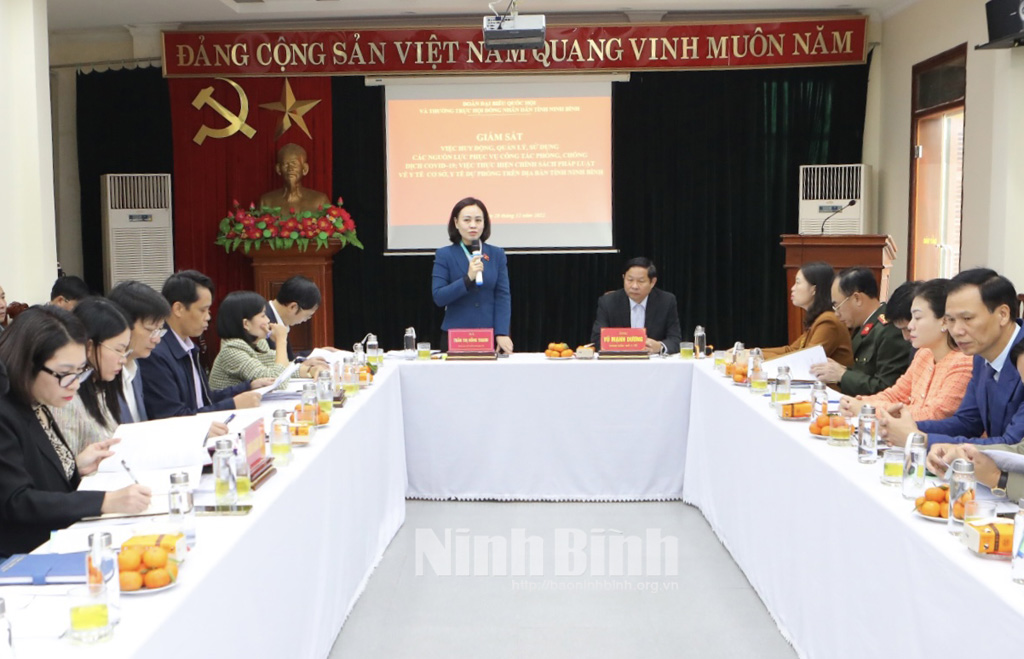 Đoàn đại biểu Quốc hội tỉnh giám sát chuyên đề tại Sở Y tế