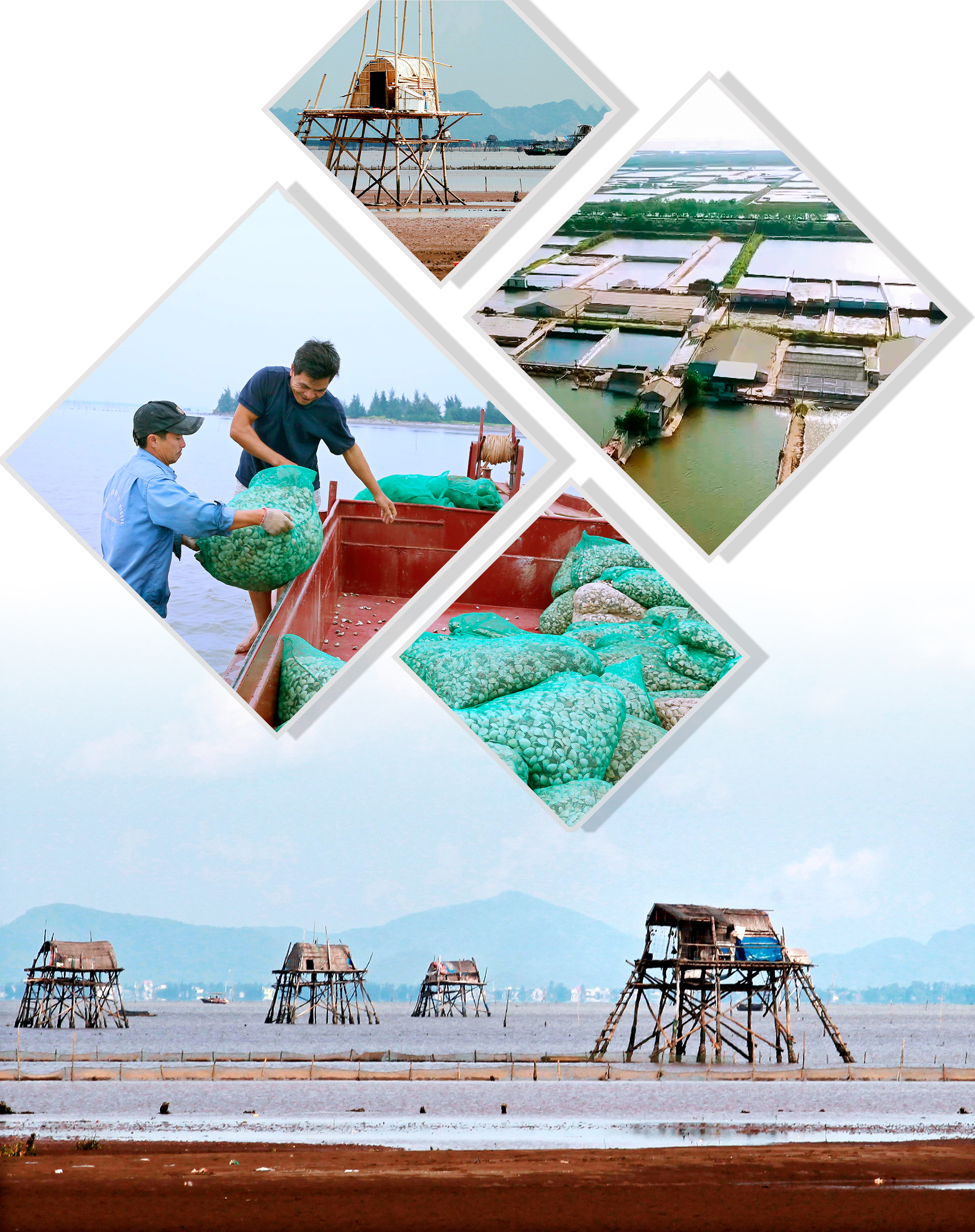 emagazine Chuyện những người lính Đoàn 500 đi lấn biển Kỳ 3