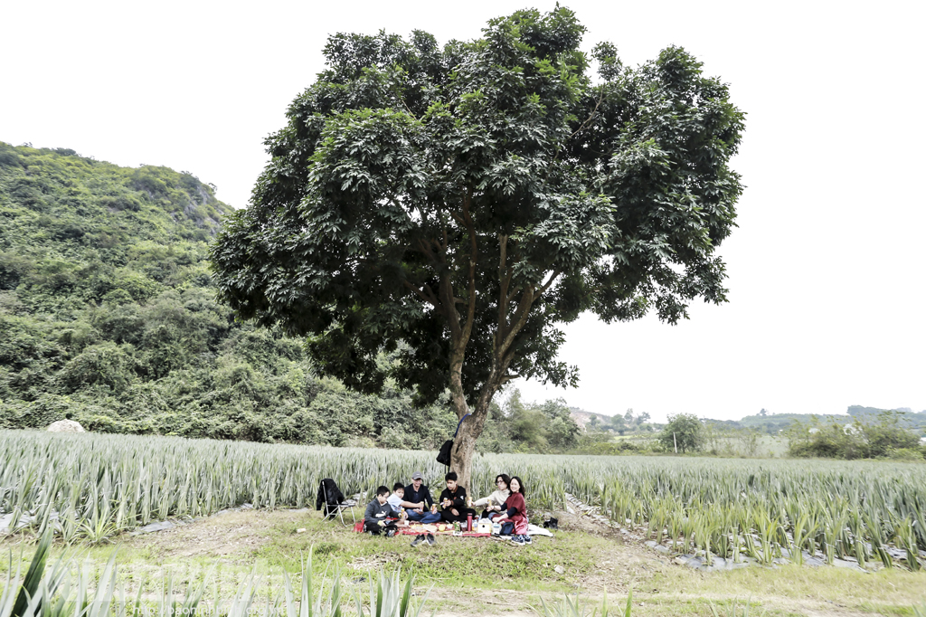 Khám phá Động Tam Giao