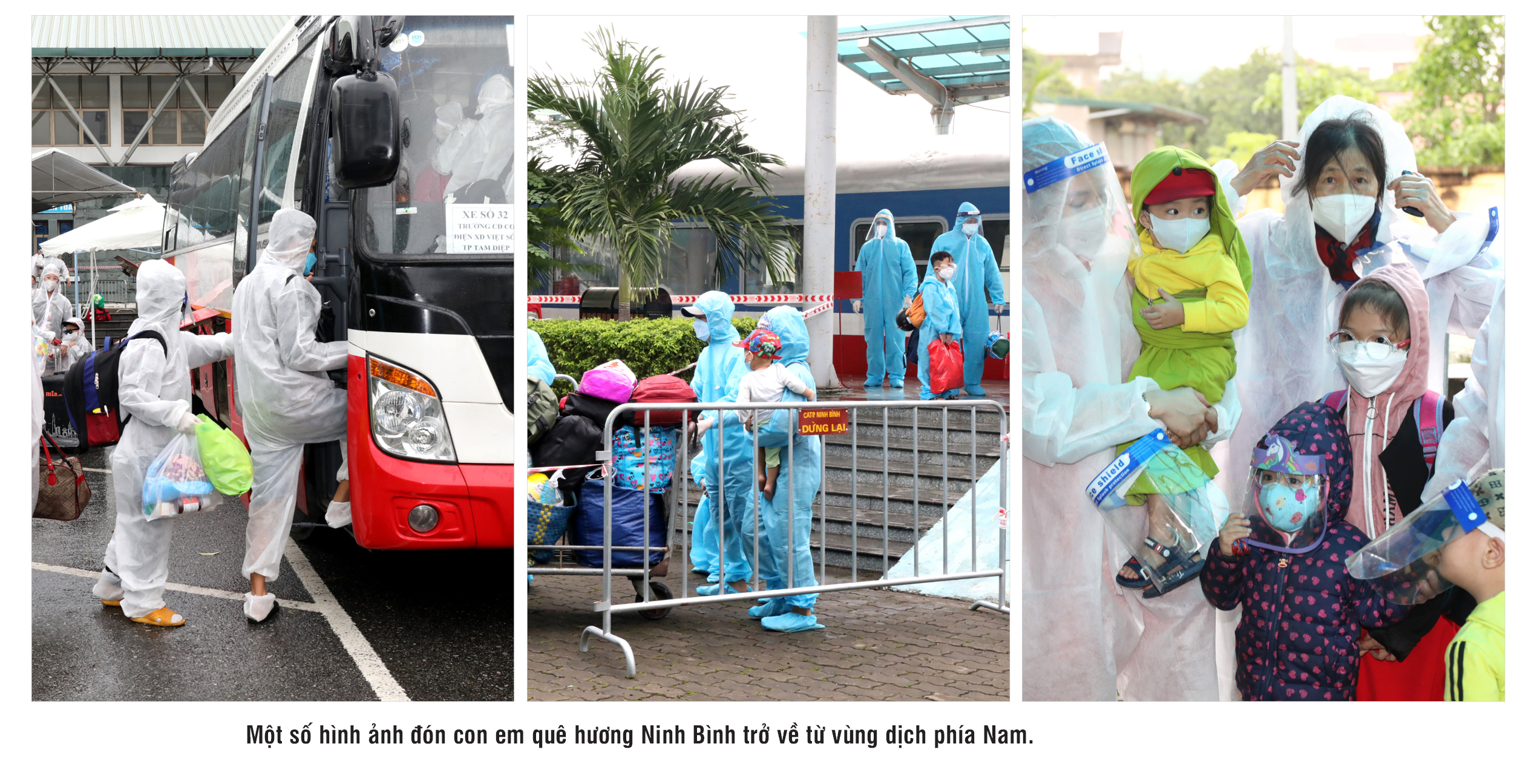 eMagazine Kỳ 2 Giữ vùng xanh