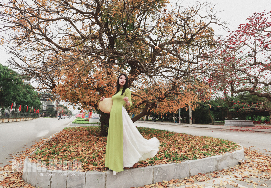 Mùa lộc vừng thay lá