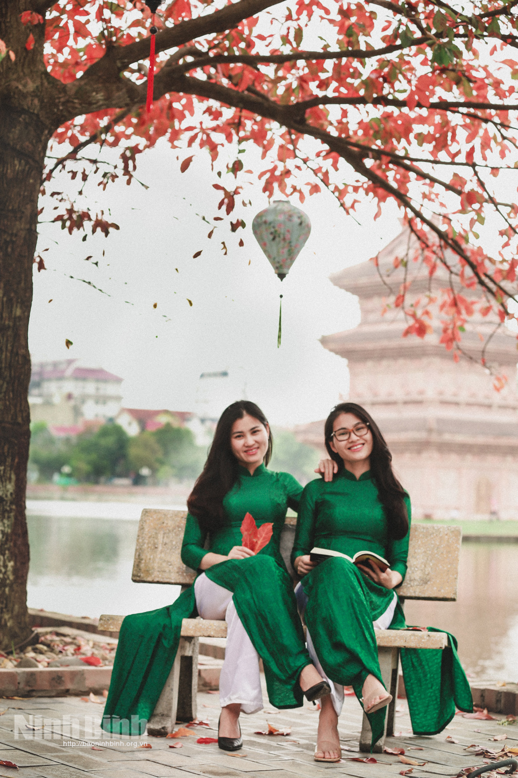 Mùa lộc vừng thay lá