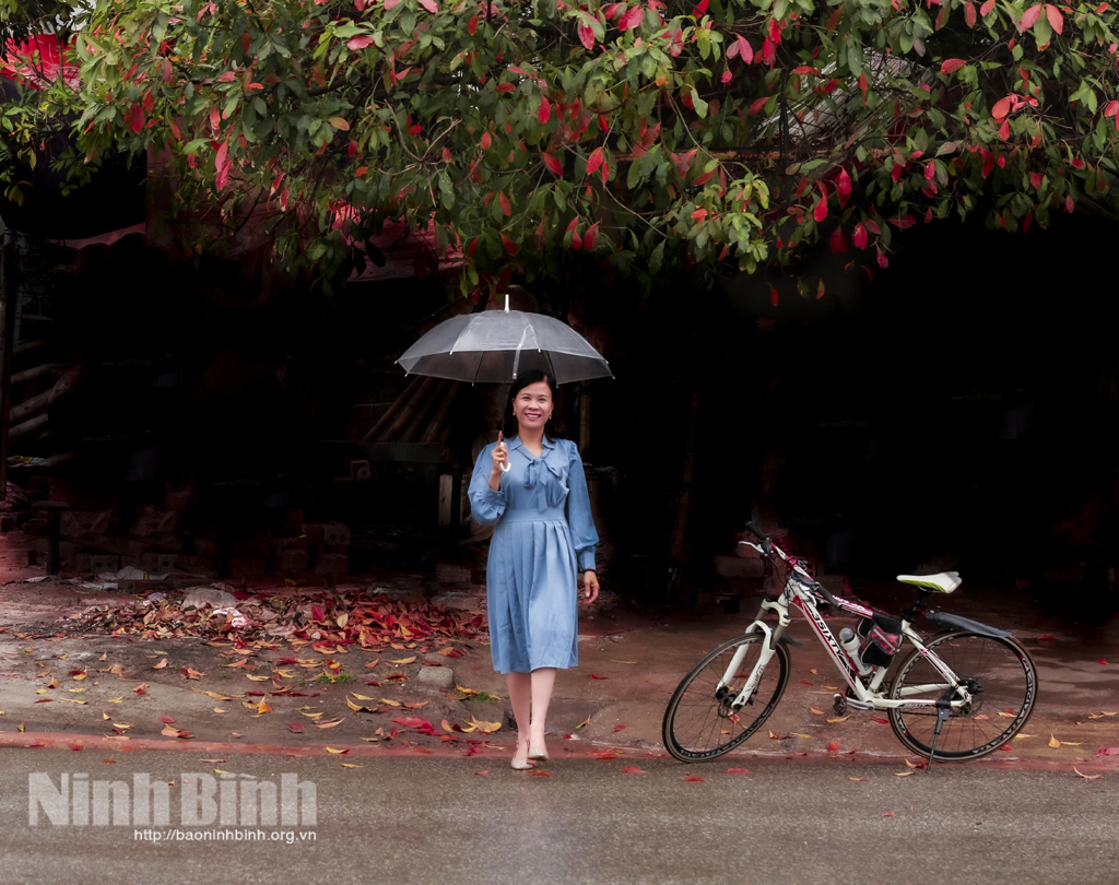 Mùa lộc vừng thay lá
