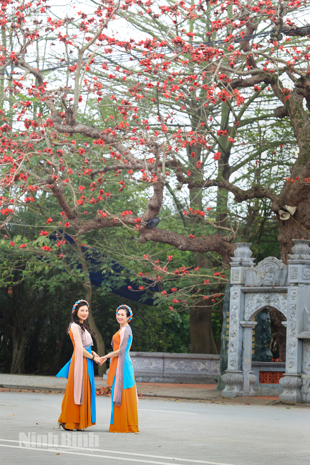 Hoa gạo tháng Ba