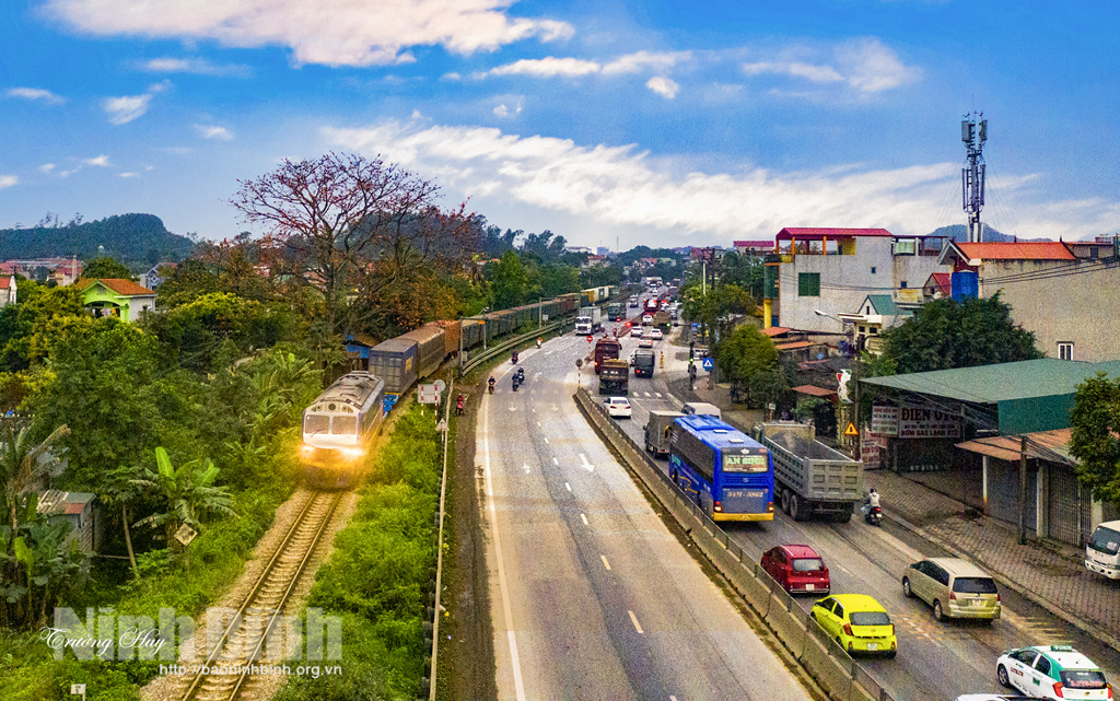 Hoa gạo tháng Ba