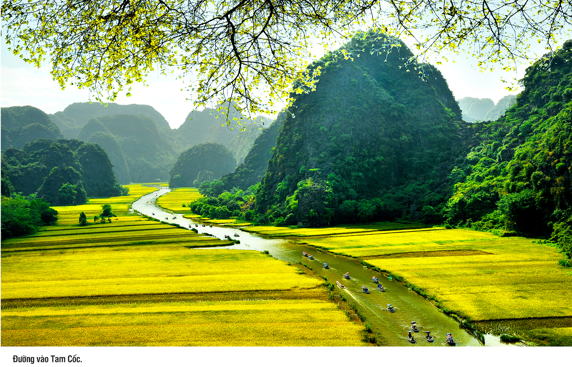 Chung sức đồng lòng khơi dậy hào khí Cố đô hiện thực hóa khát vọng phát triển