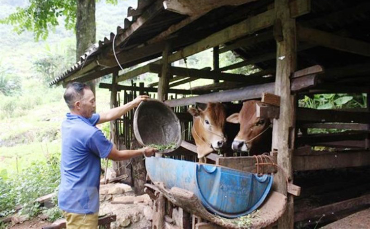 Xây dựng Cơ sở dữ liệu quốc gia về kiểm soát tài sản thu nhập