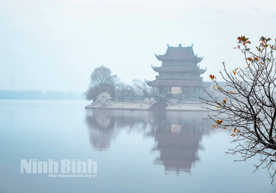 Sương mù giăng lối…