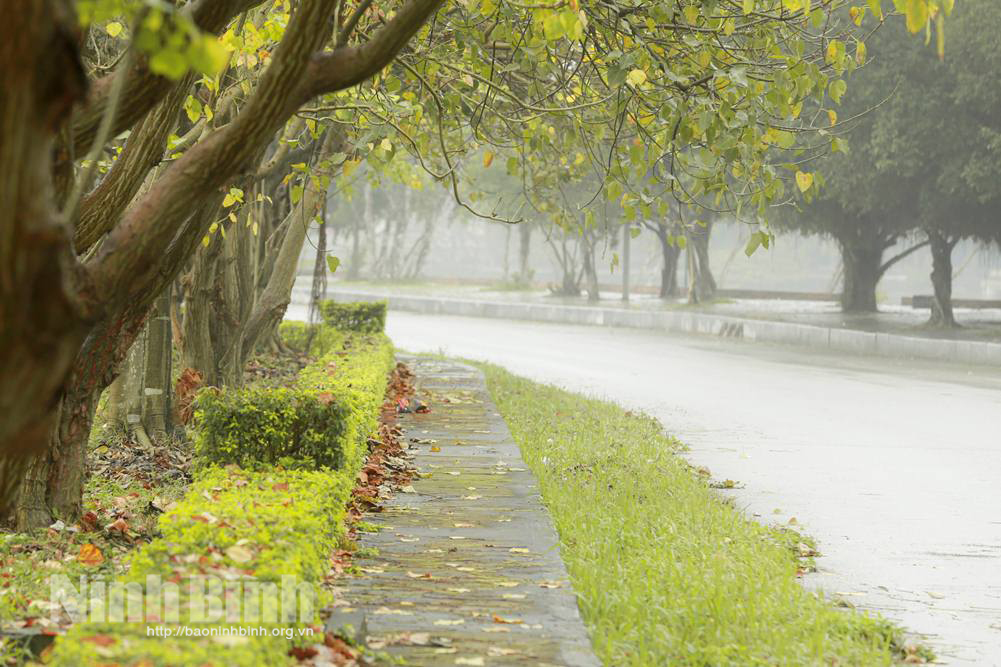 Sương mù giăng lối…