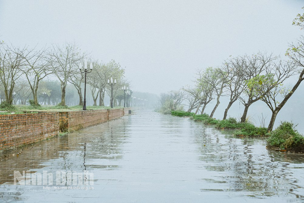 Sương mù giăng lối…