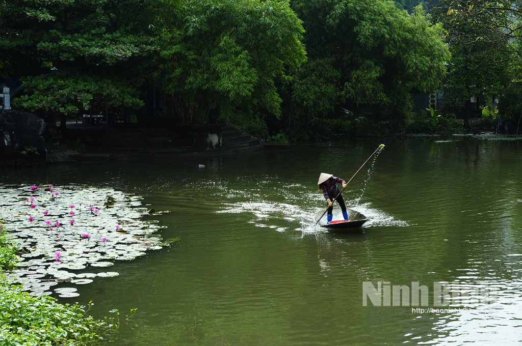 Non nước Ninh Bình