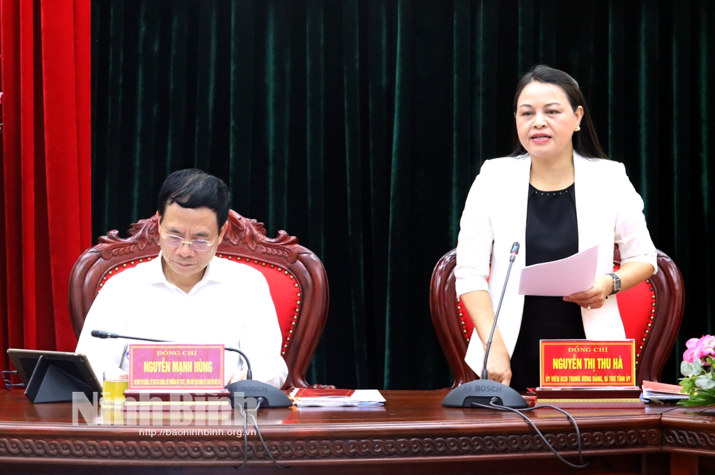 Minister of Information and Communications works with Ninh Binhs leaders