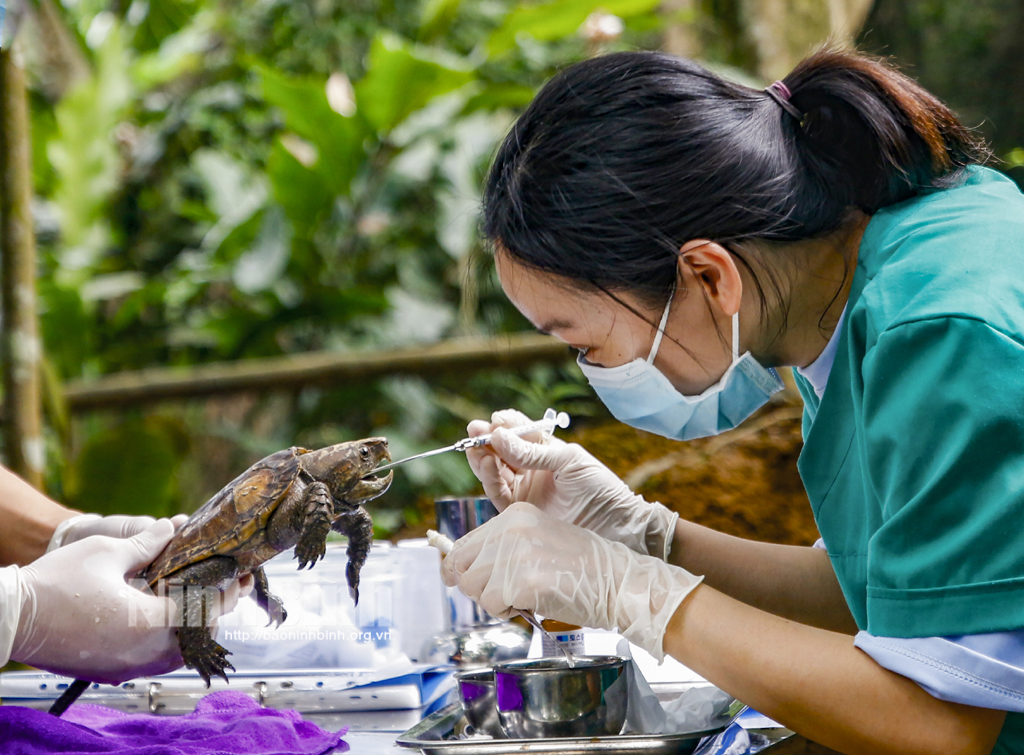 Ninh Binh works hard to protect biodiversity