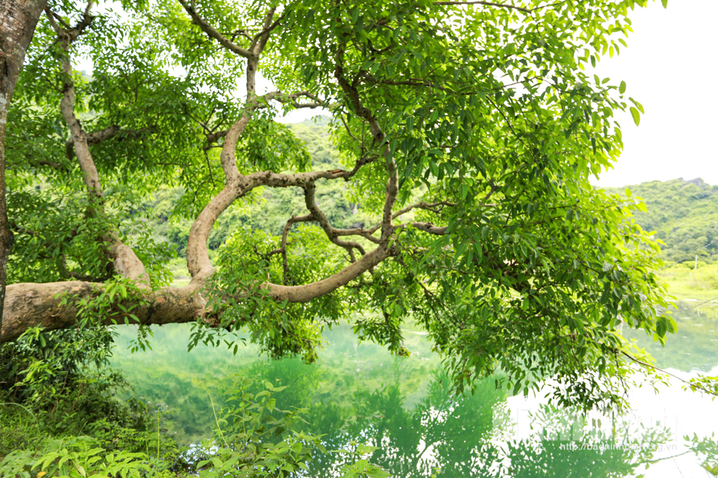 Du lịch trải nghiệm ở Đầm xanh