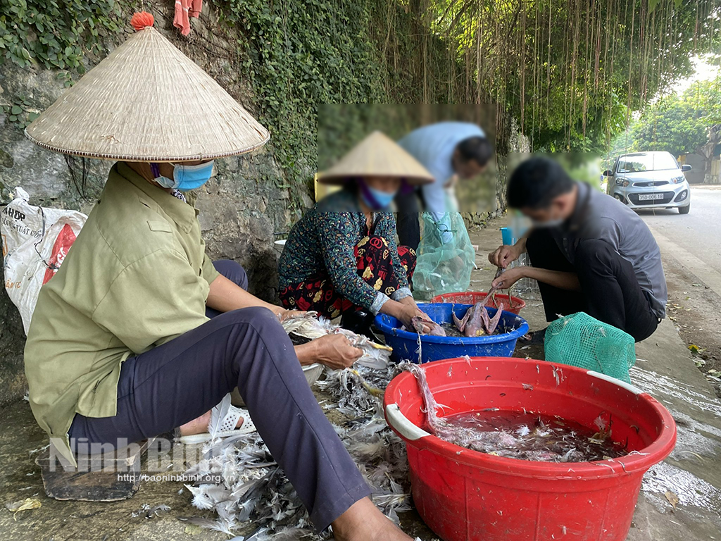 Tam Điệp Người dân ngang nhiên bày bán chim hoang dã