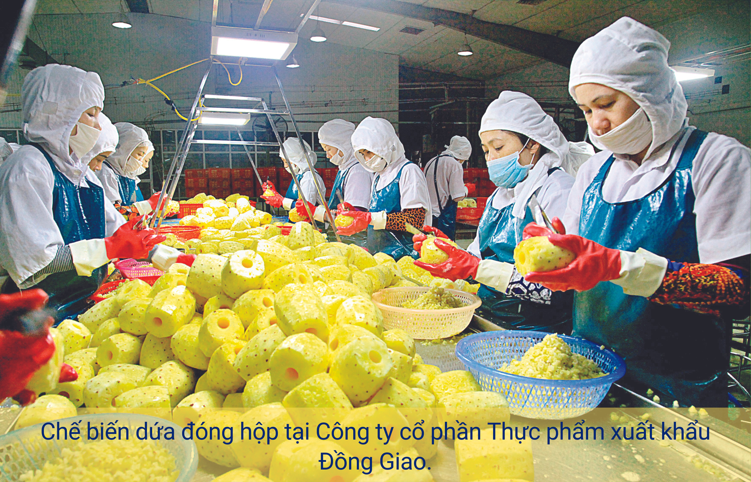 eMagazine DOVECO và sứ mệnh đưa nông sản Việt ra khắp thế giới