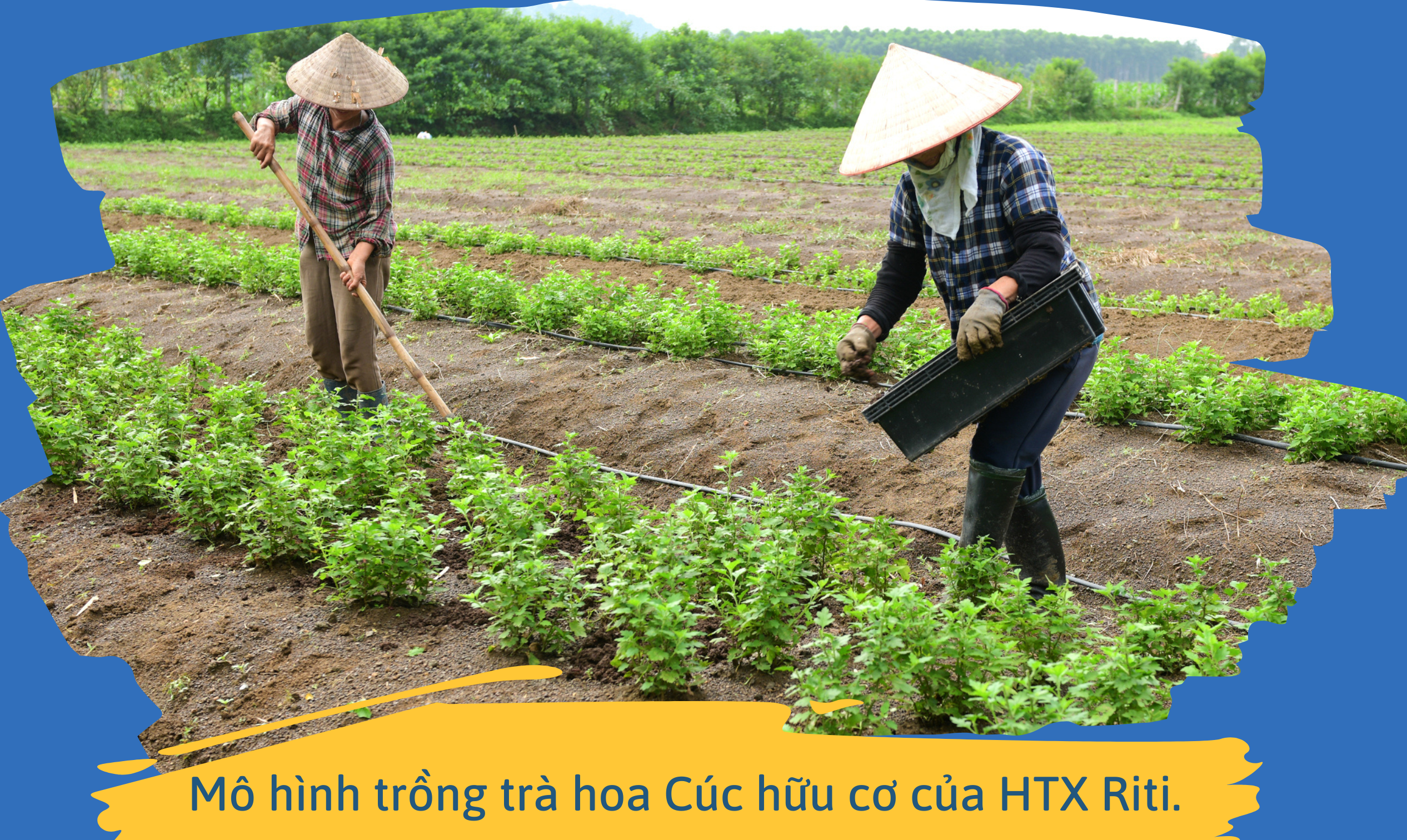 eMagazine Kinh tế số Con đường nhanh nhất đến thành công