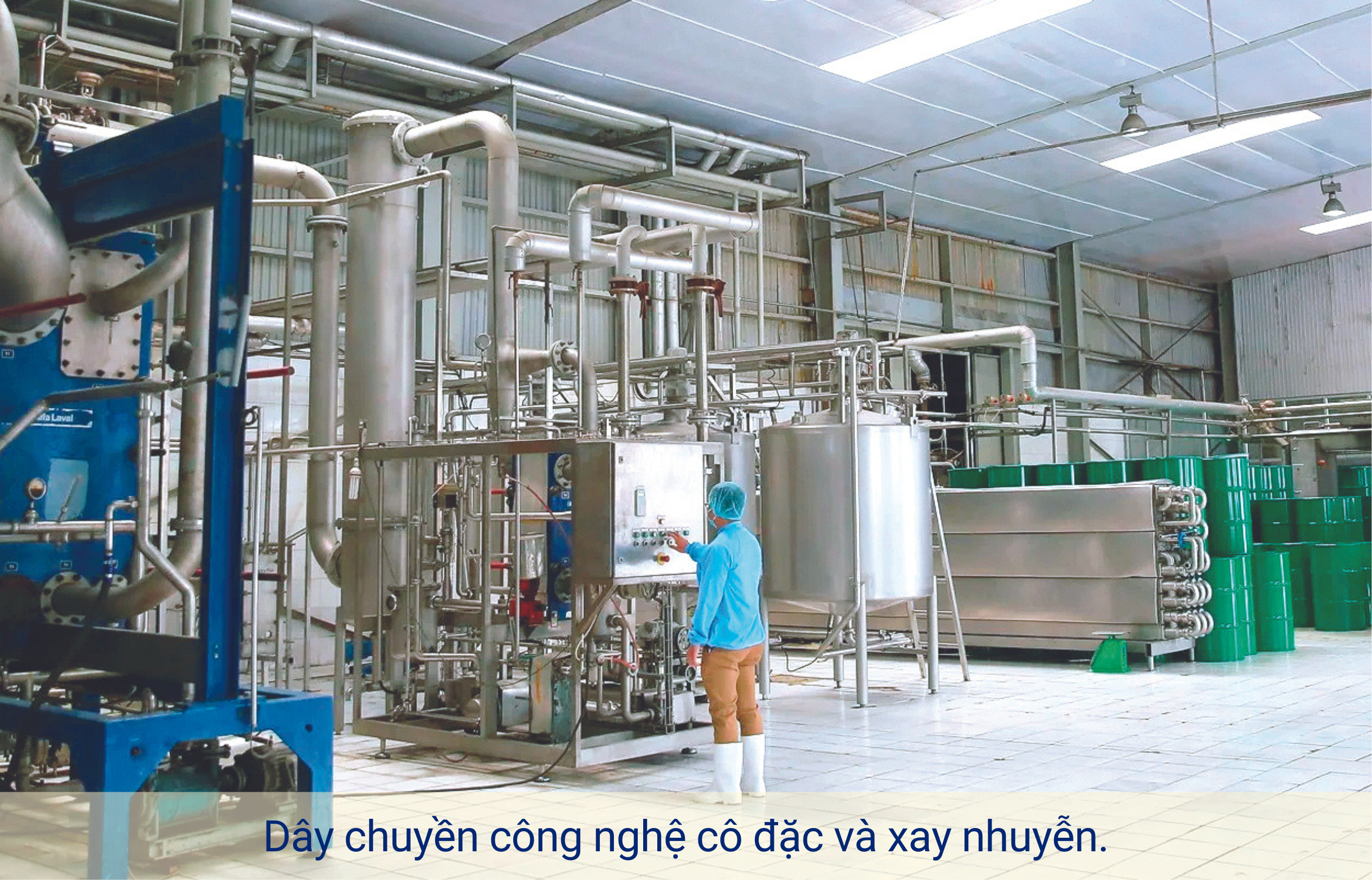 eMagazine DOVECO và sứ mệnh đưa nông sản Việt ra khắp thế giới