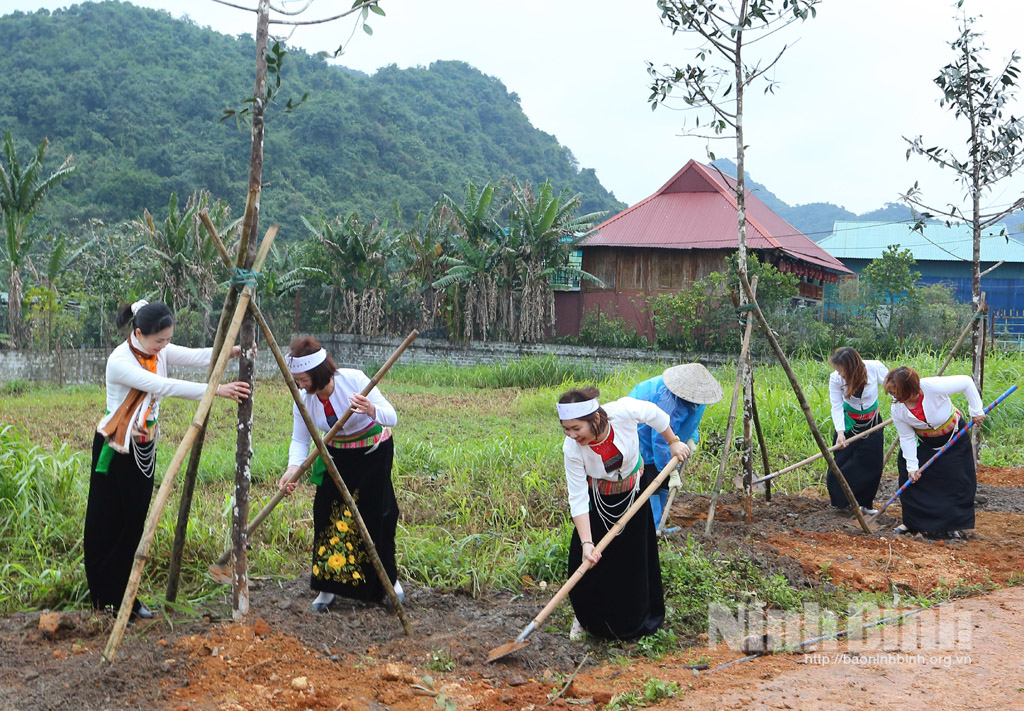 Các địa phương đơn vị phát động Tết trồng cây