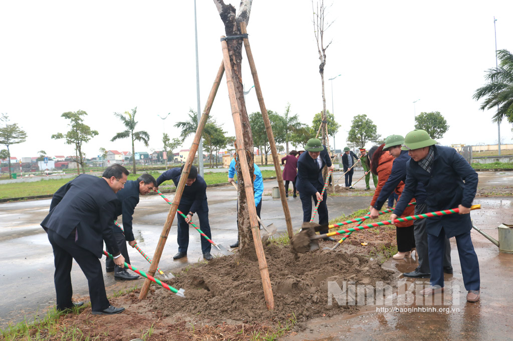 Các địa phương đơn vị phát động Tết trồng cây