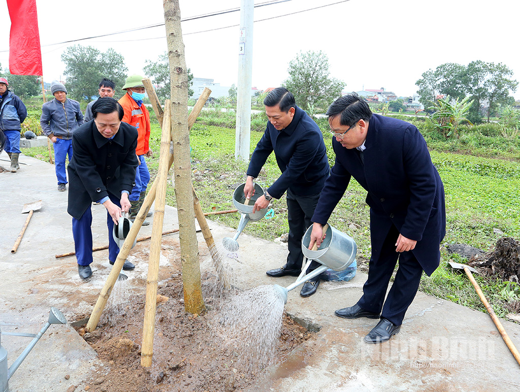 Phát động Tết trồng cây tại các địa phương đơn vị