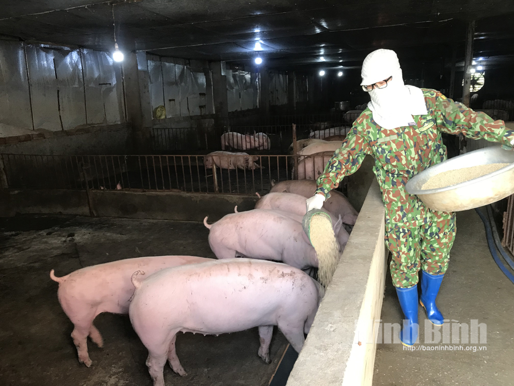 Vốn ủy thác từ ngân sách địa phương Trợ lực cho người nghèo và đối tượng chính sách