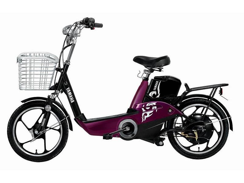 Địa chỉ mua xe đạp điện ở Ninh Bình uy tín chất lượng