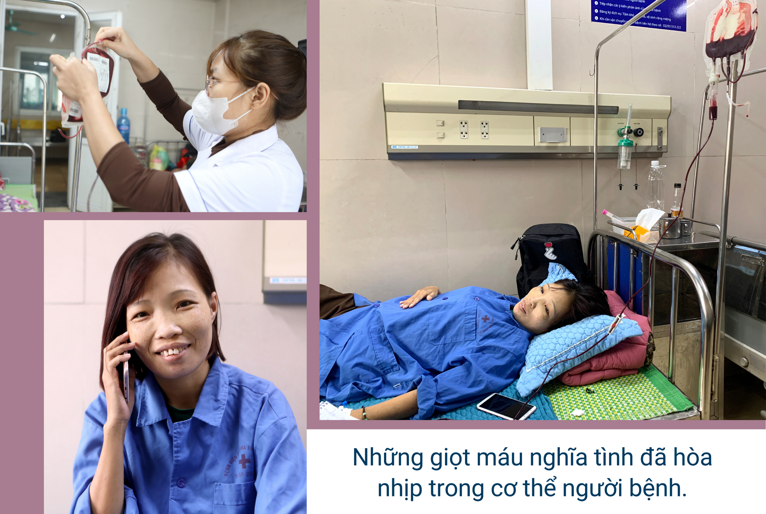 eMagazine Hành trình của… sự sống