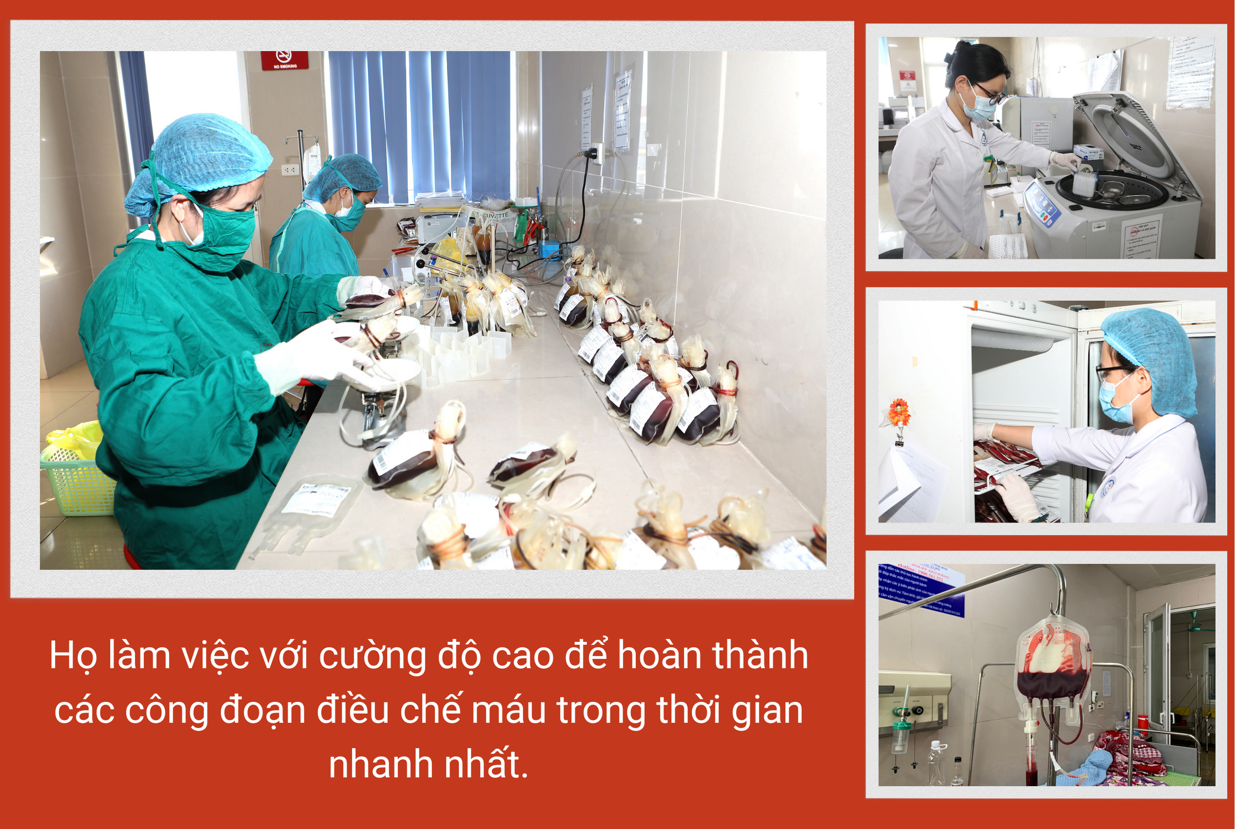 eMagazine Hành trình của… sự sống